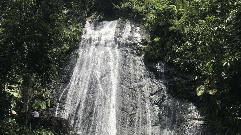 A waterfall falling through dense green rainforest onto boulders.